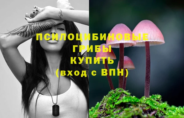 МДПВ Арсеньев